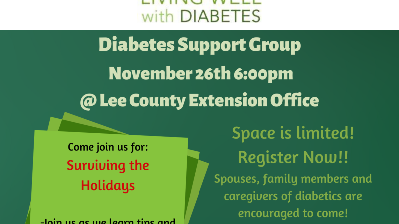 Diabetes support group Nov 2024