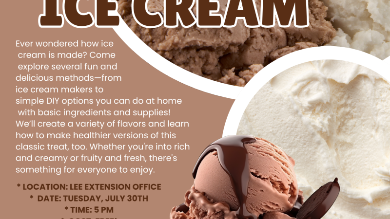 ice cream 
